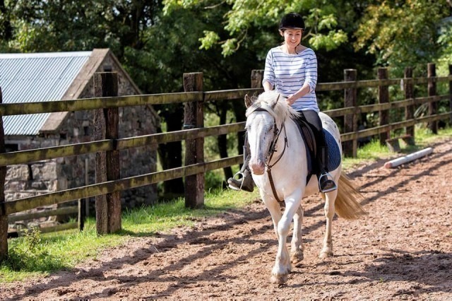 Hoofpick | Carrowmore Stables