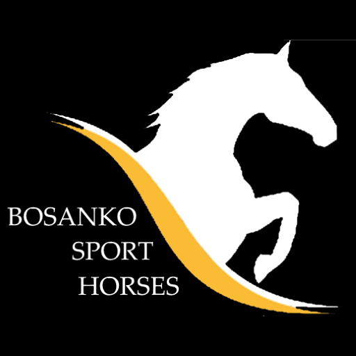 Bosanko Sports Horses